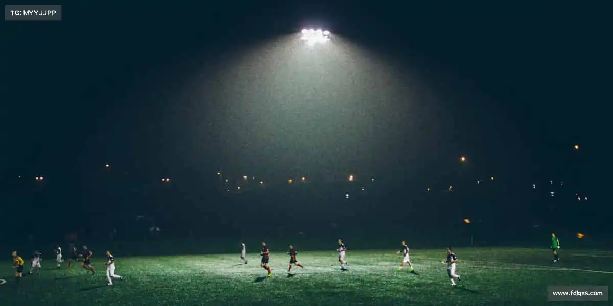 金年会体育——🏸羽球轻舞，扣杀如雷！